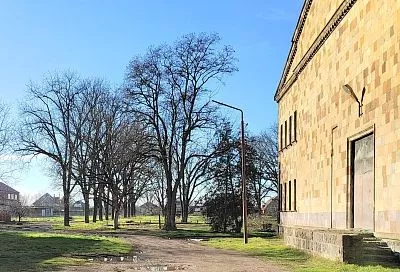 Зеленую зону в Тимашевском районе благоустроят по нацпроекту