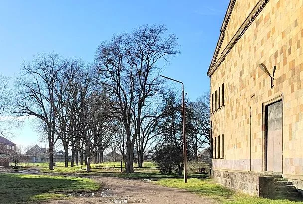 Зеленую зону в Тимашевском районе благоустроят по нацпроекту