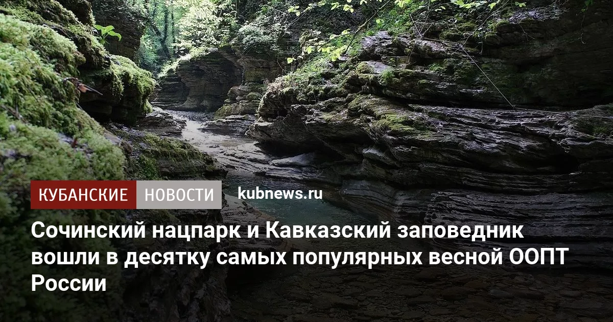 Сочинский нацпарк и Кавказский заповедник вошли в десятку самых популярных весной ООПТ России