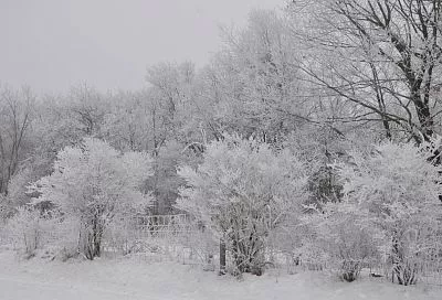Народные приметы на сегодня – 23 февраля, что можно и нельзя делать в День Гришки Зимнего по народному календарю