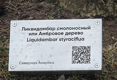 Экзотические растения в парке Галицкого подписали