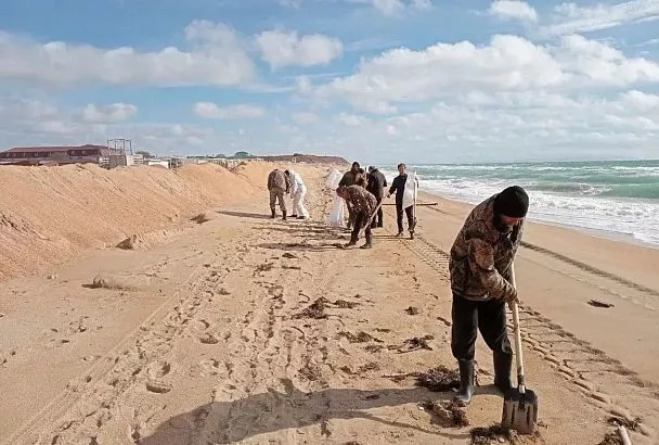 Кубанский проект «Спасай море» вышел в суперфинал премии «Россия — страна возможностей»