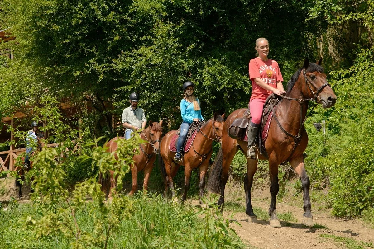 Сегодня на экоферме Экзархо с удовольствием встречают туристов со всех уголков мира. Сегодня на экоферме Экзархо с удовольствием встречают туристов со всех уголков мира.