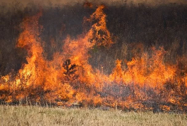 В Крыму вспыхнул крупный пожар близ туристической базы