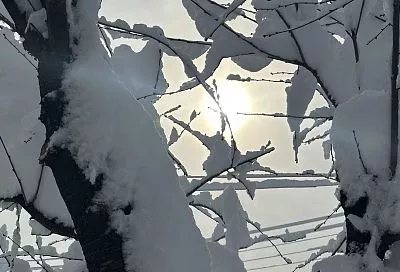 Морозы до -23 градусов и снегопады: зима в Краснодарском крае станет суровой