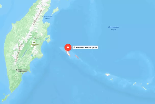 Американский офицер предлагает выкупить у России Командорские острова