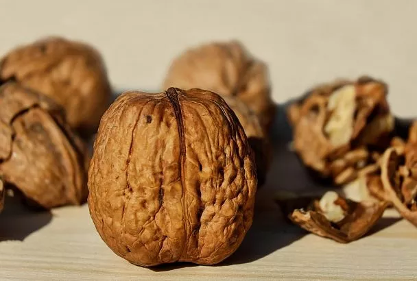 Лучшие продукты для здоровья кишечника