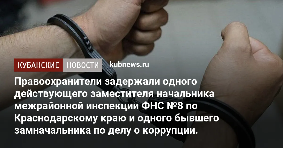 В Сочи задержали замначальника и экс-работника налоговой инспекции