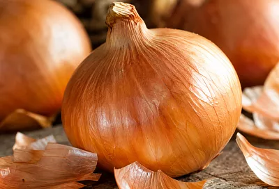 Почему лук гниёт после уборки: разбираем пять ошибок при сушке и хранении
