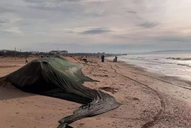 За первую неделю года в Анапе и Темрюкском районе не зафиксировали выбросов нефтепродуктов 