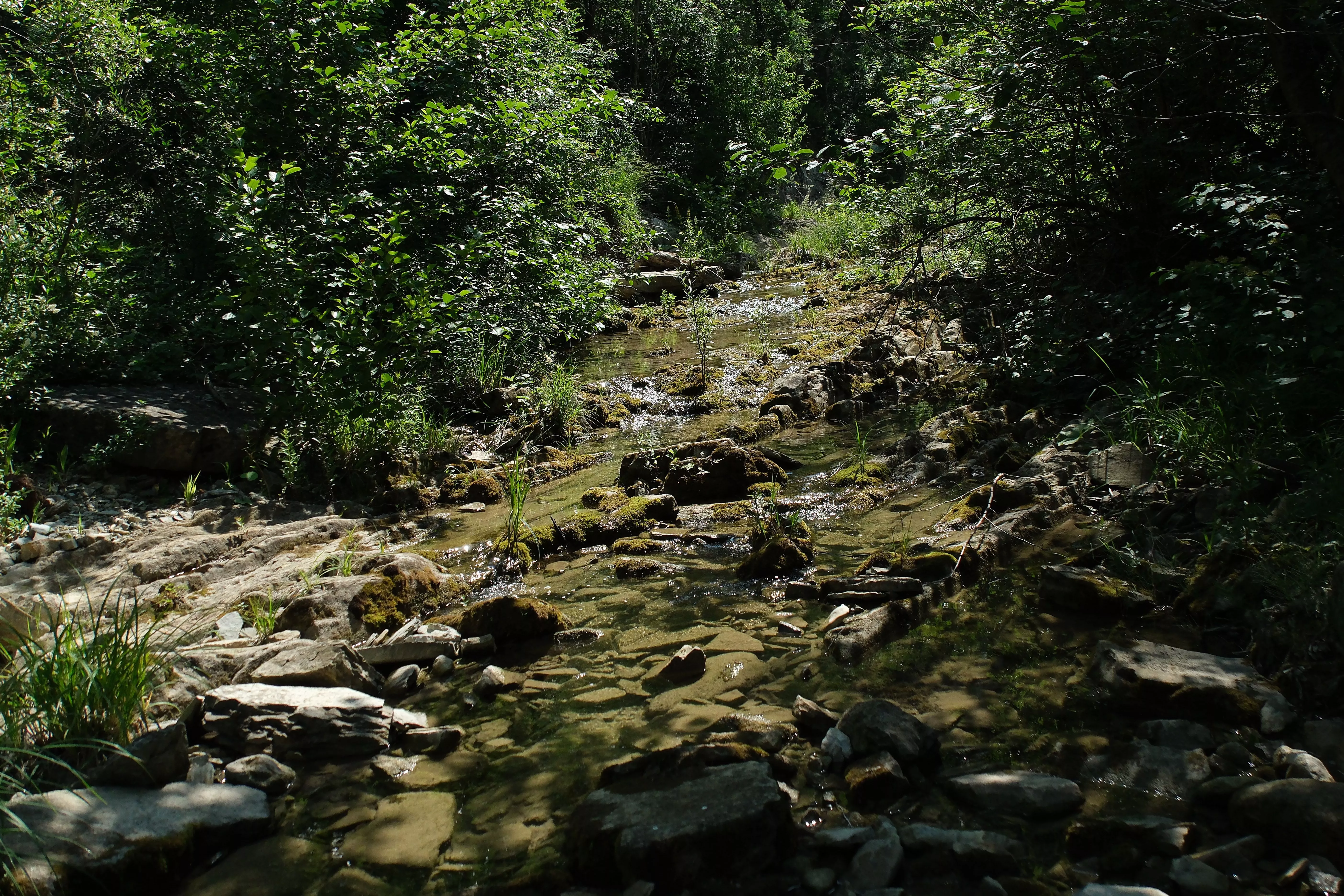 Сочинский нацпарк опроверг сообщения о продаже нелегальных туристических туров