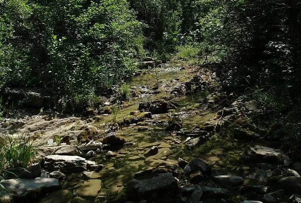 Сочинский нацпарк опроверг сообщения о продаже нелегальных туристических туров