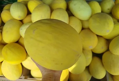 Дыня перед сбором: 2 секрета, которые помогут получить сахаристые и здоровые плоды