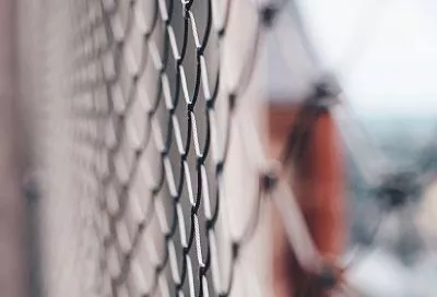 Урожай вырос в 2 раза? Заменил забор на такую сетку – и клубника созревает на неделю раньше, а помидоры крупнее