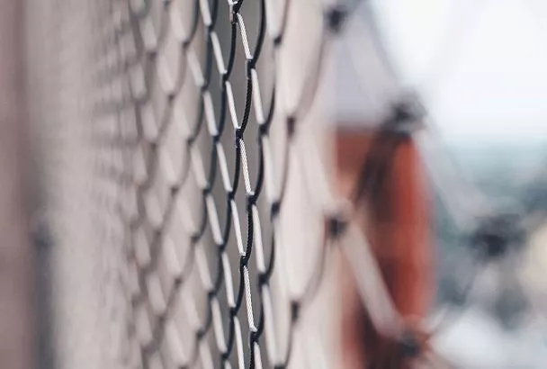 Урожай вырос в 2 раза? Заменил забор на такую сетку – и клубника созревает на неделю раньше, а помидоры крупнее