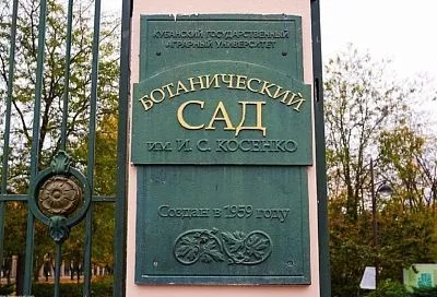 Ботанический сад в Краснодаре закроют из-за надвигающейся непогоды
