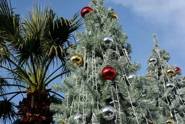 Сочи вошел в топ-3 популярных направлений у состоятельных россиян