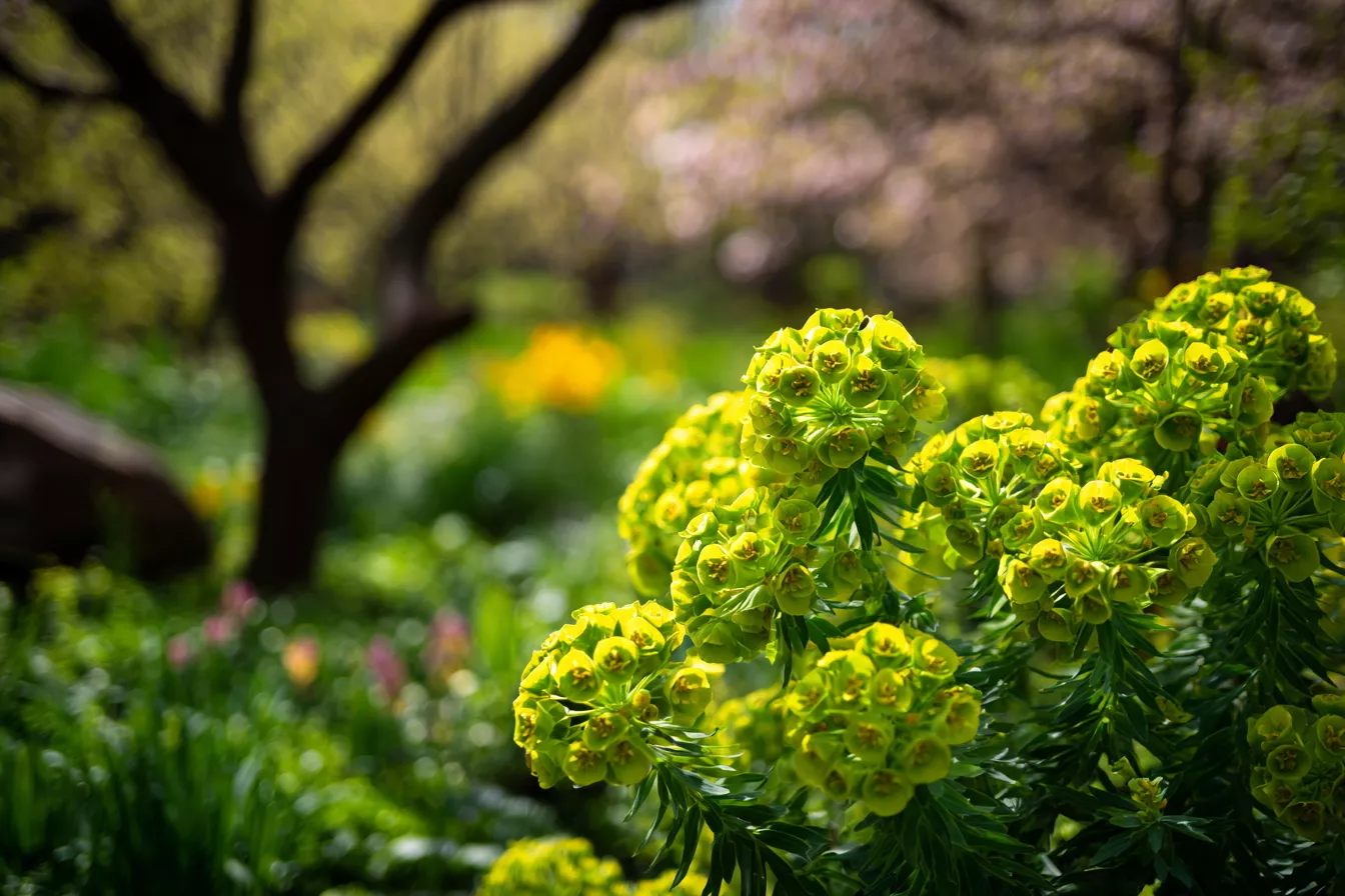 10 многолетников для «ленивого» сада: красота без лишнего ухода