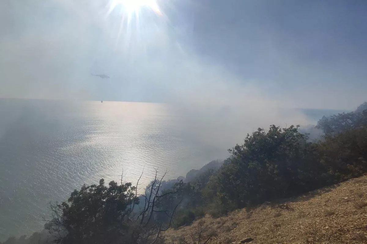 Площадь лесного пожара под Анапой увеличилась до 7,3 га