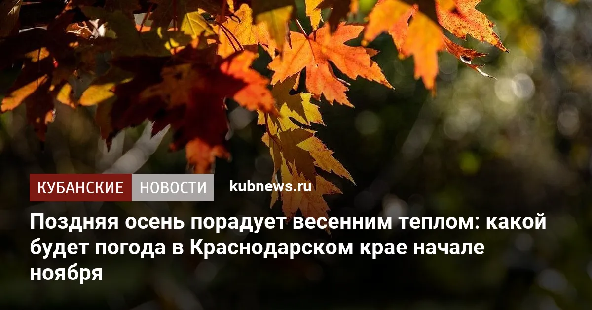 Поздняя осень порадует весенним теплом: какой будет погода в Краснодарском крае начале ноября