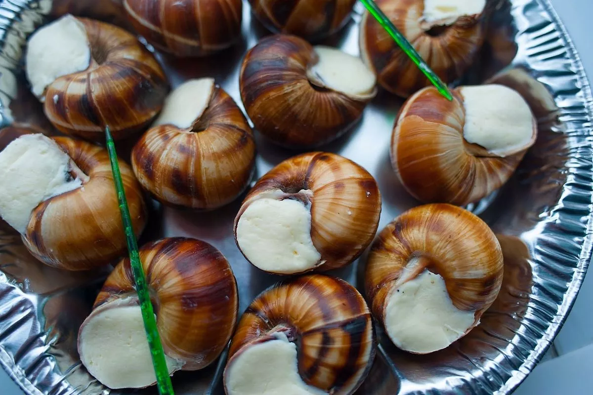 Виноградные улитки, приморско-ахтарск, деликатесы