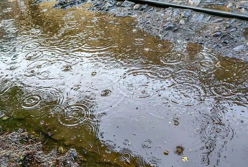 Дождь, ветер и до +18 градусов. Синоптики рассказали о погоде в Краснодарском крае 5 апреля