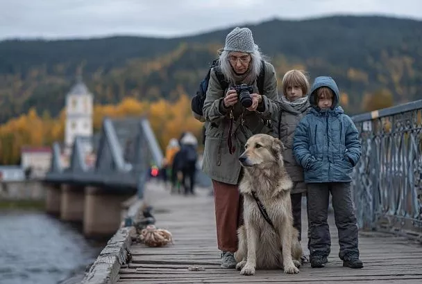 Эустресс против дистресса: как правильный стресс спасает мозг