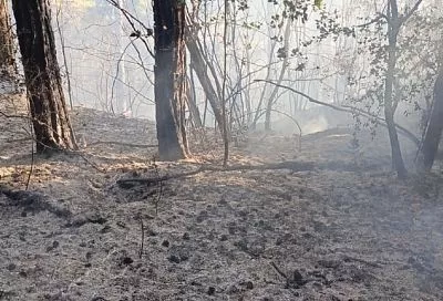 Лесной пожар в Геленджике потушен