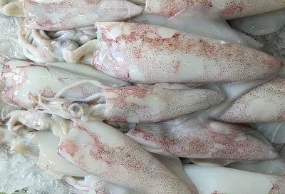 Вкуснее и дешевле магазинных снеков: эту ароматную закуску из кальмаров я готовлю каждый раз, когда к мужу приходят гости