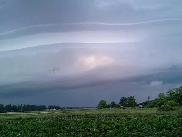 Перед грозой