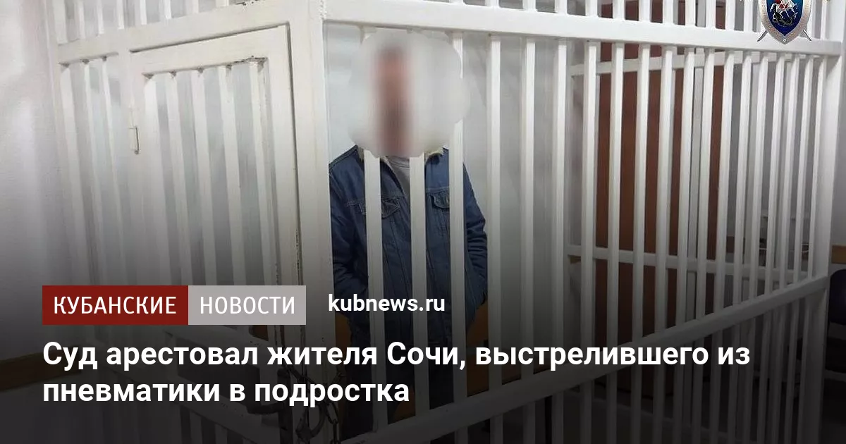 Суд арестовал жителя Сочи, выстрелившего из пневматики в подростка