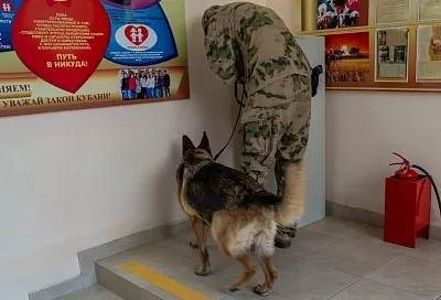 В Краснодаре, Сочи и Сириусе росгвардейцы обследуют избирательные участки