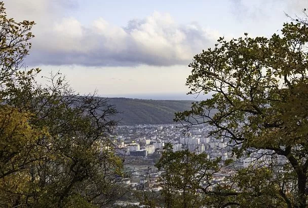 Недвижимость в Геленджике может подорожать на 20% до конца года