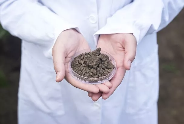 Как почва «дышит»: в Сириусе оценят углеродный баланс Причерноморья