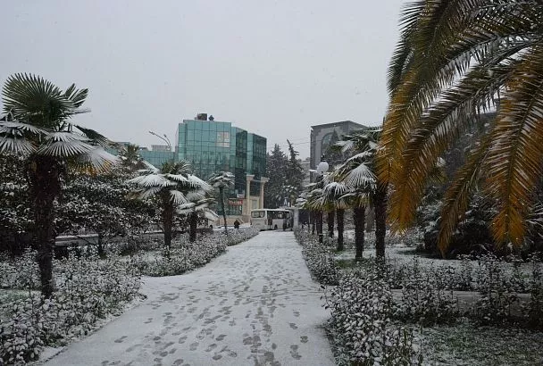 Опасная погода будет в последние дни года в Краснодарском крае