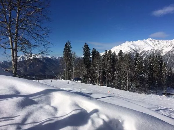 Без названия