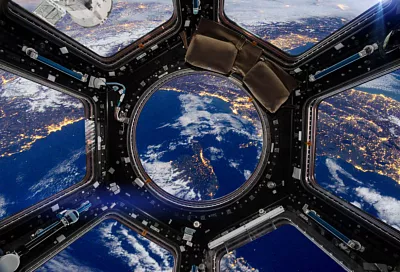 Ковальчук: в России изучают перспективы размножения в дальних космических миссиях с помощью приматов