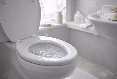 Как убрать налёт и запах в туалете: 200 мл перекиси 3% и полчаса без агрессии