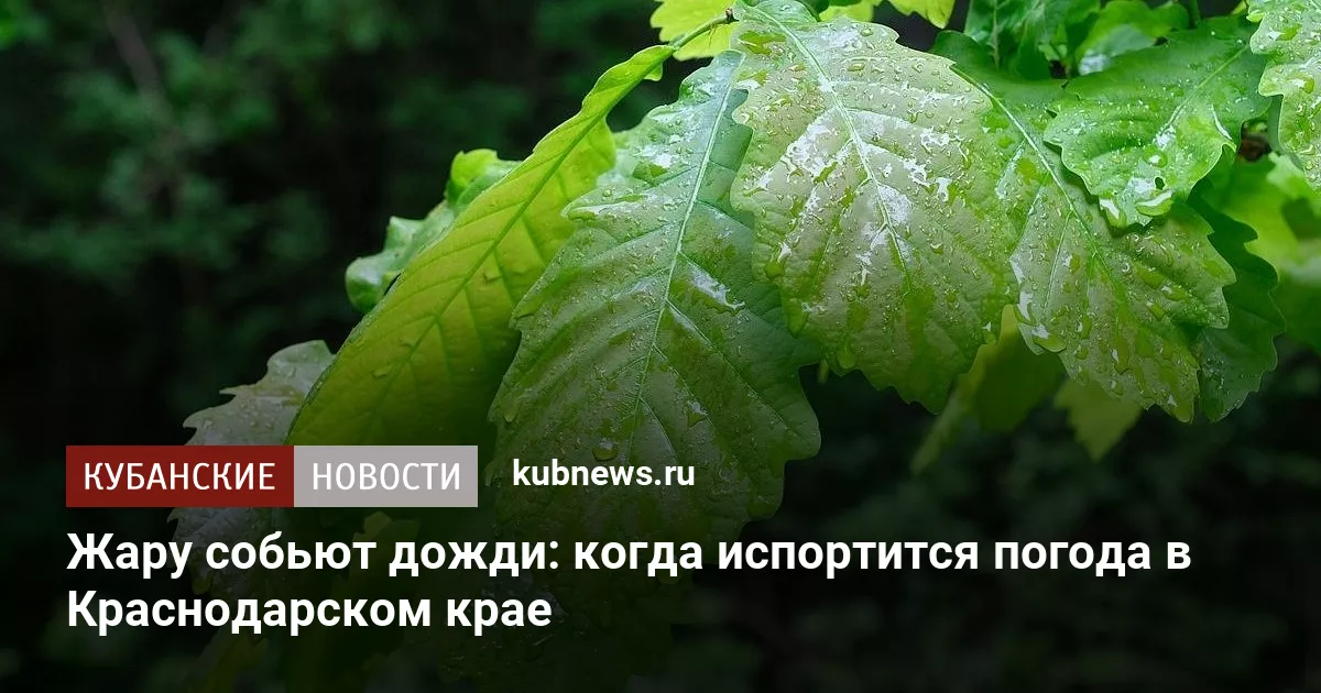 Жару собьют дожди: когда испортится погода в Краснодарском крае