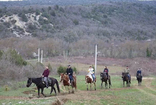 Иппотерапия для защитников: ﻿в Анапе для участников СВО организуют конные прогулки