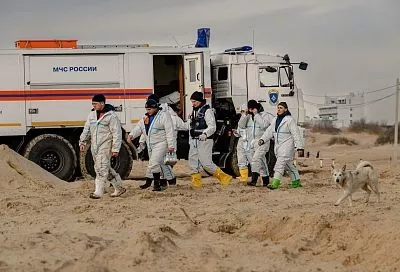 На морском дне и песчаном берегу: в Анапе продолжается уборка мазута 
