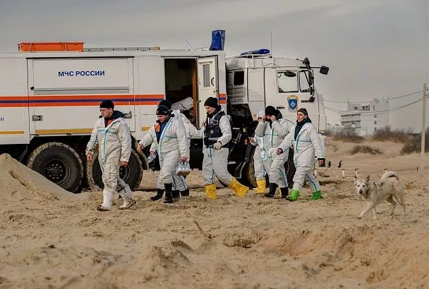 На морском дне и песчаном берегу: в Анапе продолжается уборка мазута 