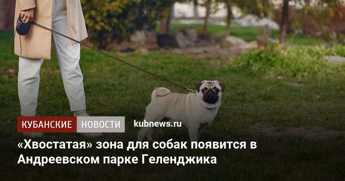 «Хвостатая» зона для собак появится в Андреевском парке Геленджика