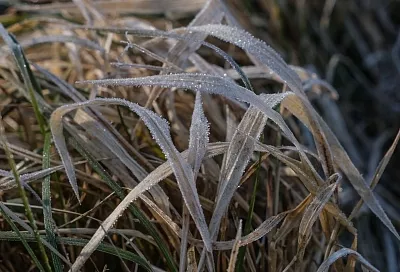 Ночные морозы до -6 градусов ударят в Краснодарском крае