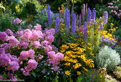 «Посадил и забыл»: 8 железных многолетников для сада без хлопот