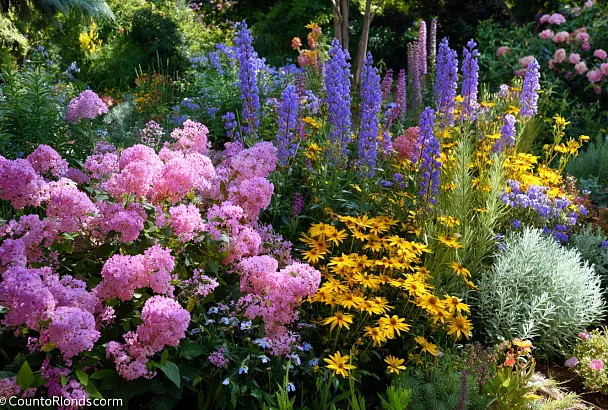 «Посадил и забыл»: 8 железных многолетников для сада без хлопот