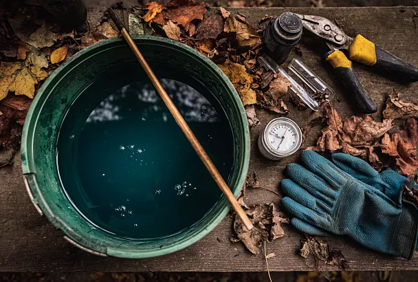 Позднеосенняя обработка сада железным купоросом