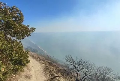 Площадь лесного пожара под Анапой выросла до 6,5 гектаров