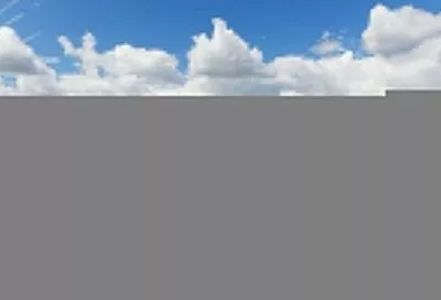 В Казани запатентовали способ повышения урожайности пшеницы с помощью природного минерала