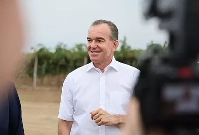Губернатор Вениамин Кондратьев: «Ежегодно в Краснодарском крае закладываем около 220 гектаров питомников»